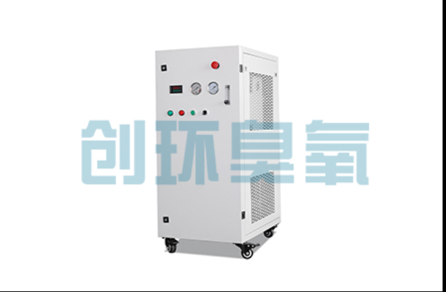 武强工厂化养鲈必看:2026年臭氧发生器替代传统消毒的最新方案