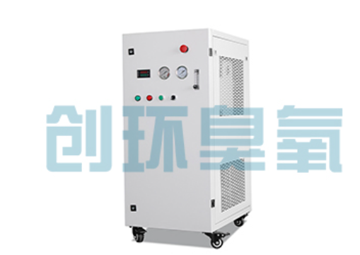 武强石斑鱼养殖水质调控完整指南:臭氧发生器配置与操作步骤