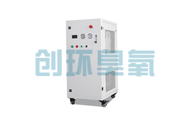 武强比传统换水更高效?臭氧发生器在石斑鱼养殖中的水质净化原理解析