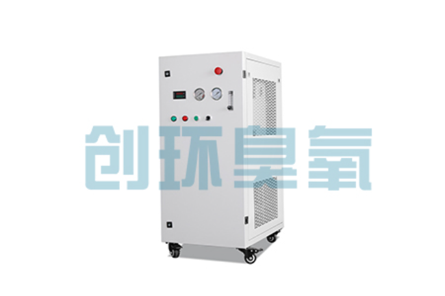 武强比传统换水更高效?臭氧发生器在石斑鱼养殖中的水质净化原理解析